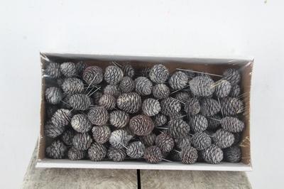 Huis en tuindecoratie overig H%