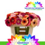 f704f730-ced8-48c7-b079-60eded14ff6d.jpg