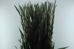 f740ecd0-8190-4f97-b9bc-897a58b3bfcc.jpg