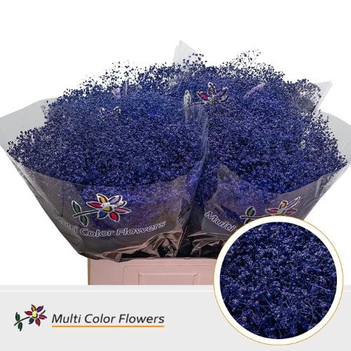 Gypsophila overig kleurbehandeld H%