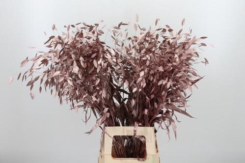 Siergras kleurbehandeld H%