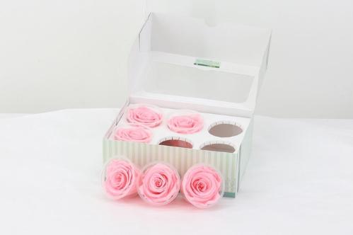 Rosa grootbloemig kleurbehandeld H%