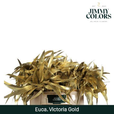 Eucalyptus globulus kleurbehandeld H%