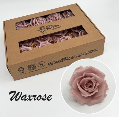 Rosa grootbloemig gewaxt H%