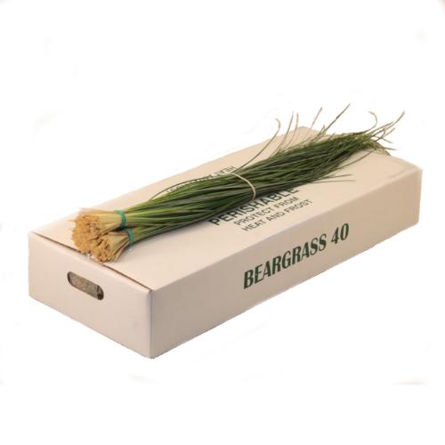 Xerophyllum tenax Beargrass per bos