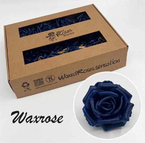 Rosa grootbloemig gewaxt H%