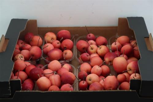 Siervruchten per bak Malus overig