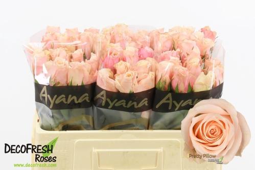 Rosa grootbloemig Pretty Pillow