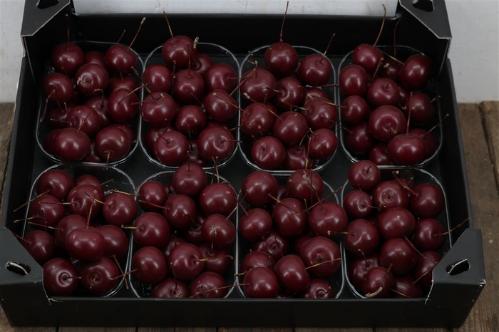 Wax appel H%