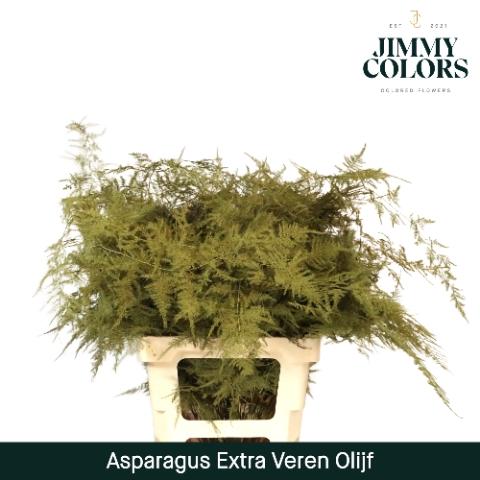 Asparagus overig kleurbehandeld H%