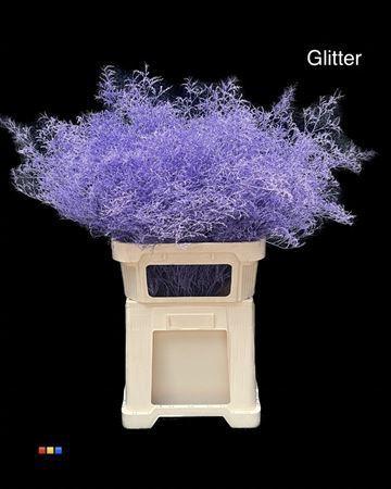 Limonium overig kleurbehandeld H%