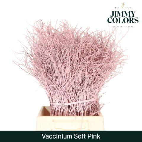 Vaccinium kleurbehandeld H%