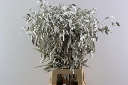 Snijbloemen overig kleurbehandeld H%