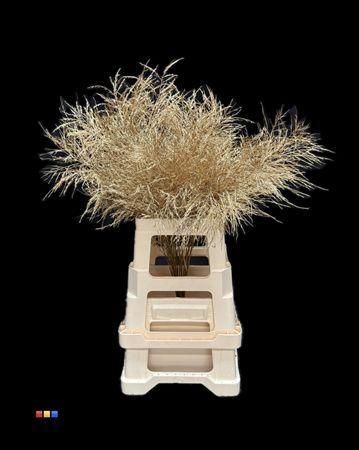 Decoratiegroen kleurbehandeld per bos H%