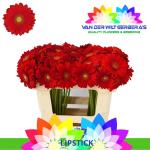 fac52835-db6b-44ea-9b6c-c2c7dd60ceca.jpg