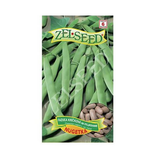 Fazuľa kríčková na vylupovanie - NUGETKA - Zelseed
