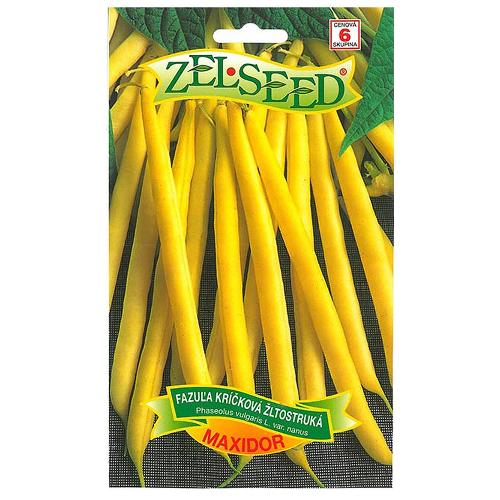 Fazuľa kríčková žltostruká MAXIDOR - Zelseed