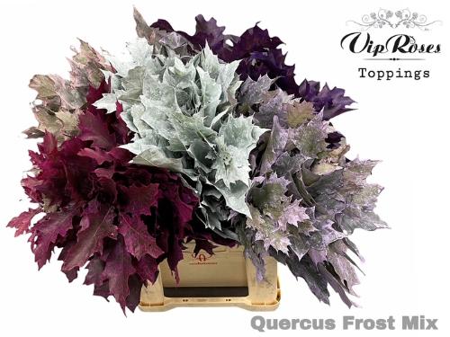 quercus overig kleurbehandeld H%