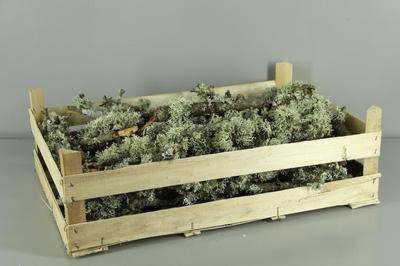 Huis en tuindecoratie overig 6%