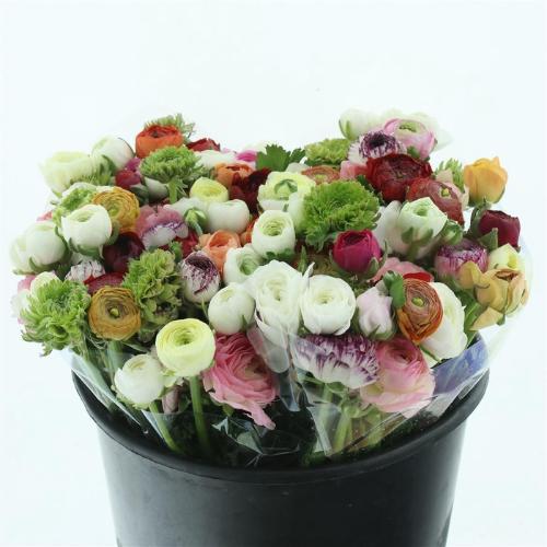 Ranunculus gemengd in bos