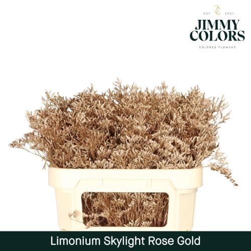 Limonium overig kleurbehandeld H%