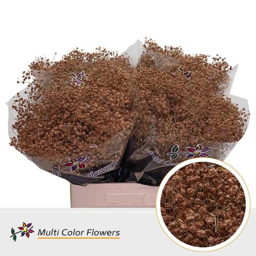 Gypsophila overig kleurbehandeld H%