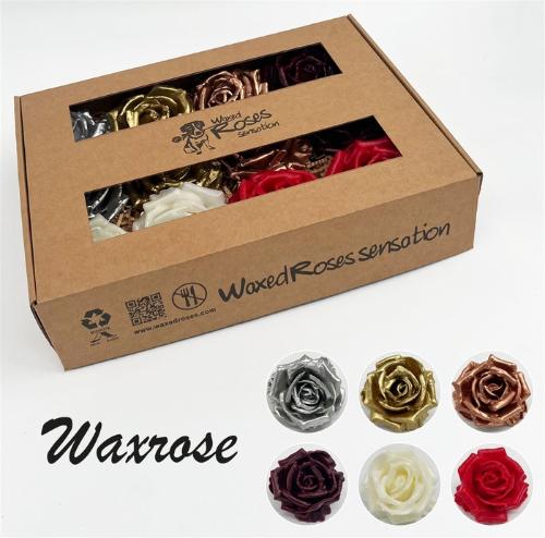 Rosa grootbloemig gewaxt H%