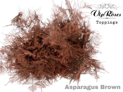 Asparagus overig kleurbehandeld H%