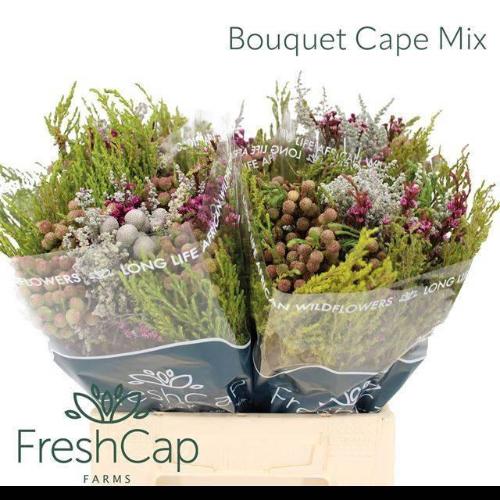 Kaaps groen gemengd in bos