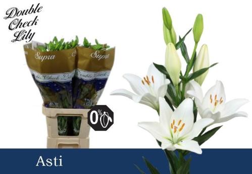 Lilium (LA-hybrids Grp) 'Asti'