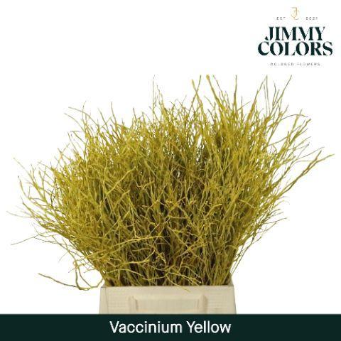 Vaccinium kleurbehandeld H%