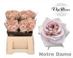 fd8993bd-4149-46c5-899e-062857db9fba.jpg