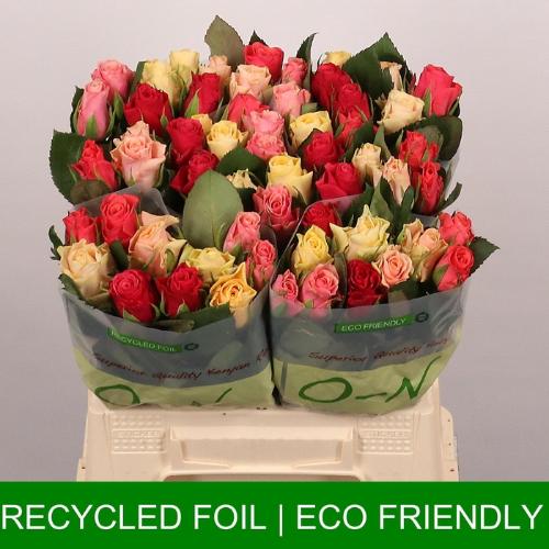 Rosa grootbloemig Tacazzi Gemengd