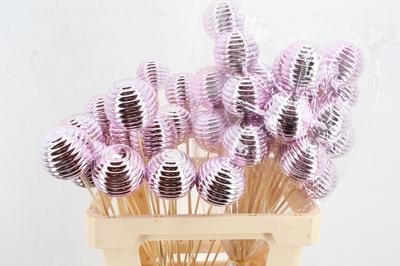 Huis en tuindecoratie overig H%