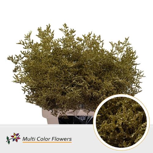 Limonium overig kleurbehandeld H%