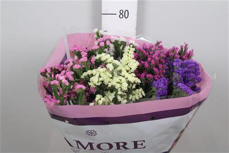 Limonium sinuatum gemengd