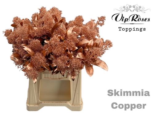 Skimmia per bos overig kleurbehandeld H%