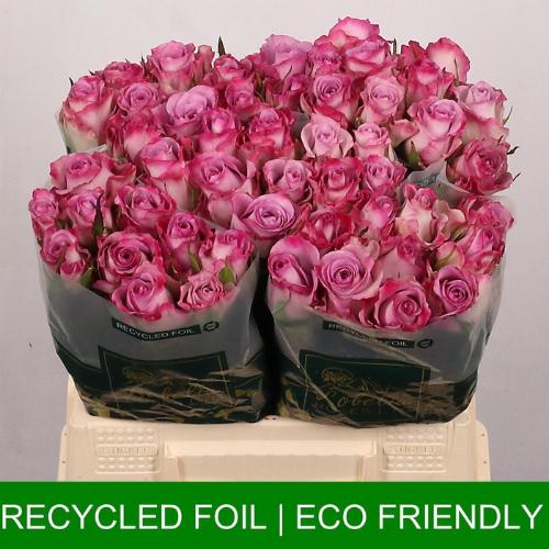 Rosa grootbloemig Thriller