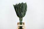 fe9aedf8-a3d0-46cc-b403-9792c60cc0dc.jpg