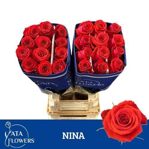 Rosa grootbloemig overig