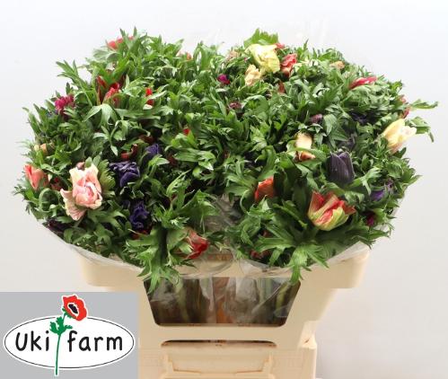 Anemone overig gemengd in bos