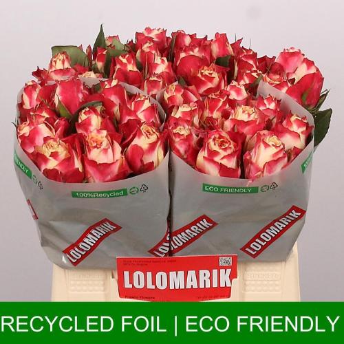 Rosa grootbloemig Chapeau