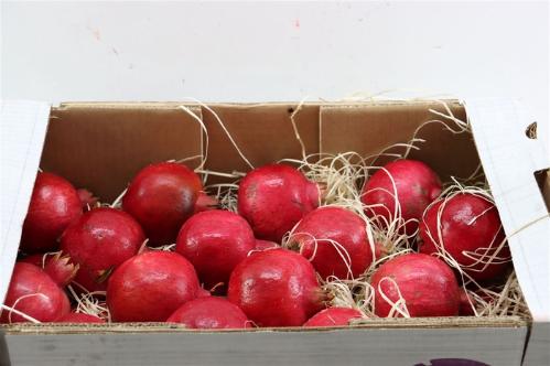 Siervruchten per stuk Punica granatum
