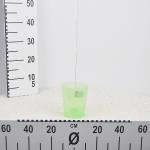 flower-pot-coubi-green-transparent.jpg