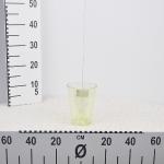 flower-pot-coubi-green-transparent-2.jpg