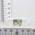 flower-pot-ratolla-pw-white-1.jpg