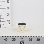 flower-pot-sandy-round-cream.jpg