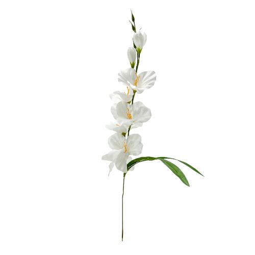 Gladiol x1 umelý