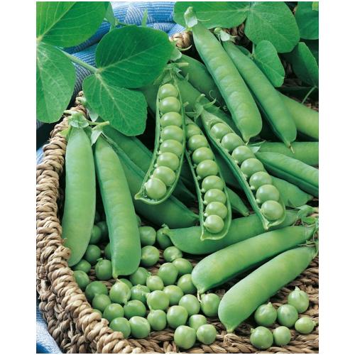 Hrach prémium 250g