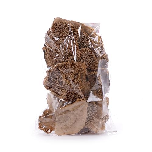 Huba Sponge  mushrom natur bal